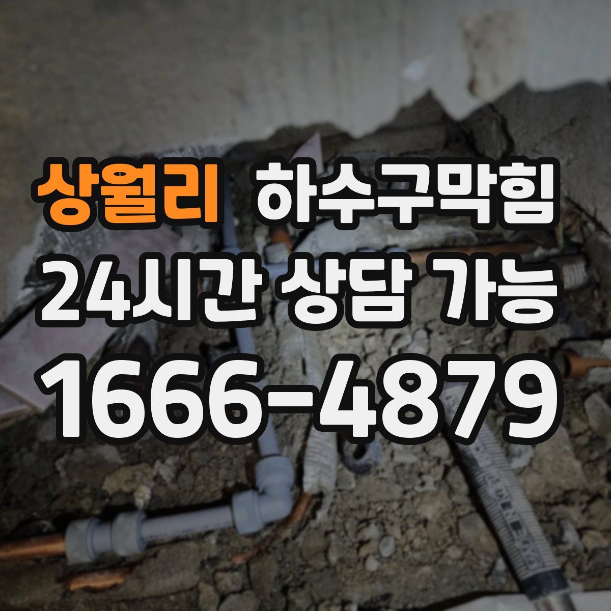 상월리 하수구막힘