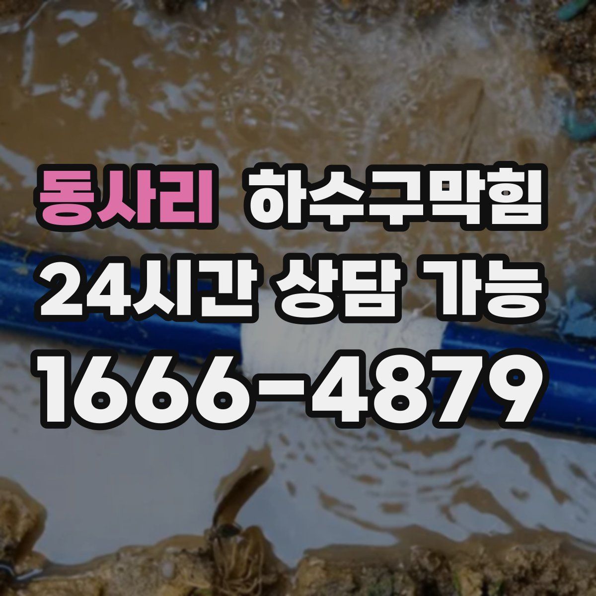 동사리 하수구막힘