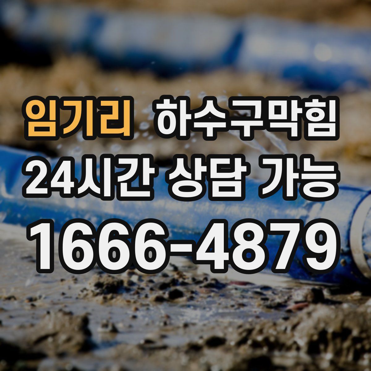 임기리 하수구막힘