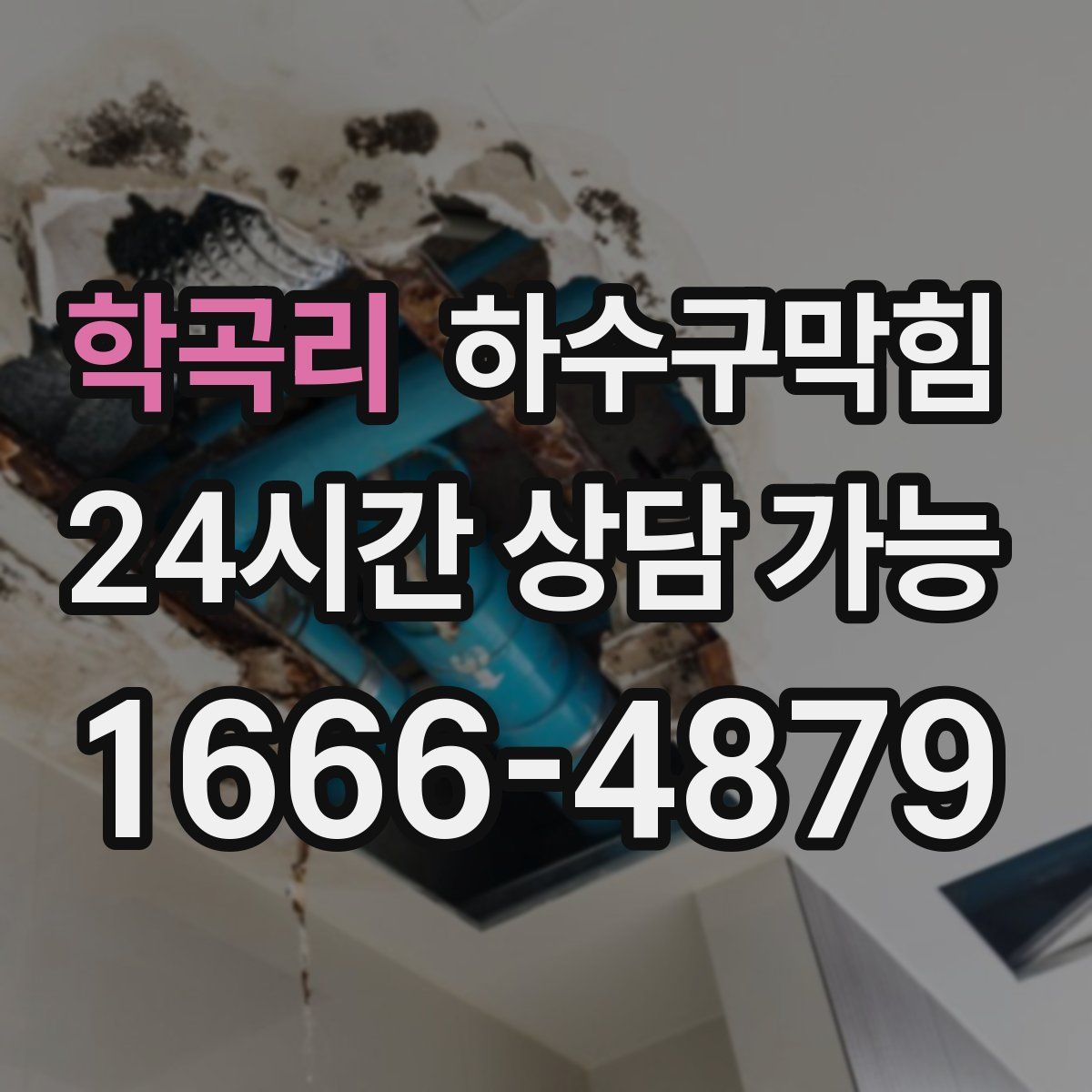 학곡리 하수구막힘