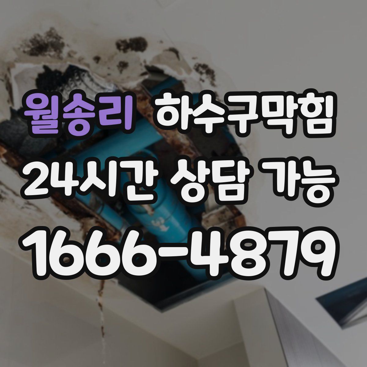 월송리 하수구막힘