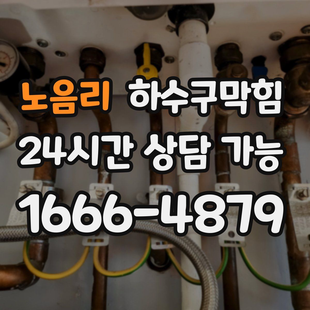 노음리 하수구막힘