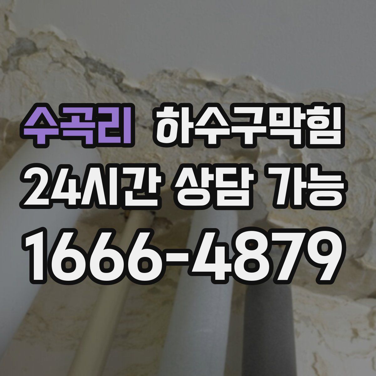 수곡리 하수구막힘