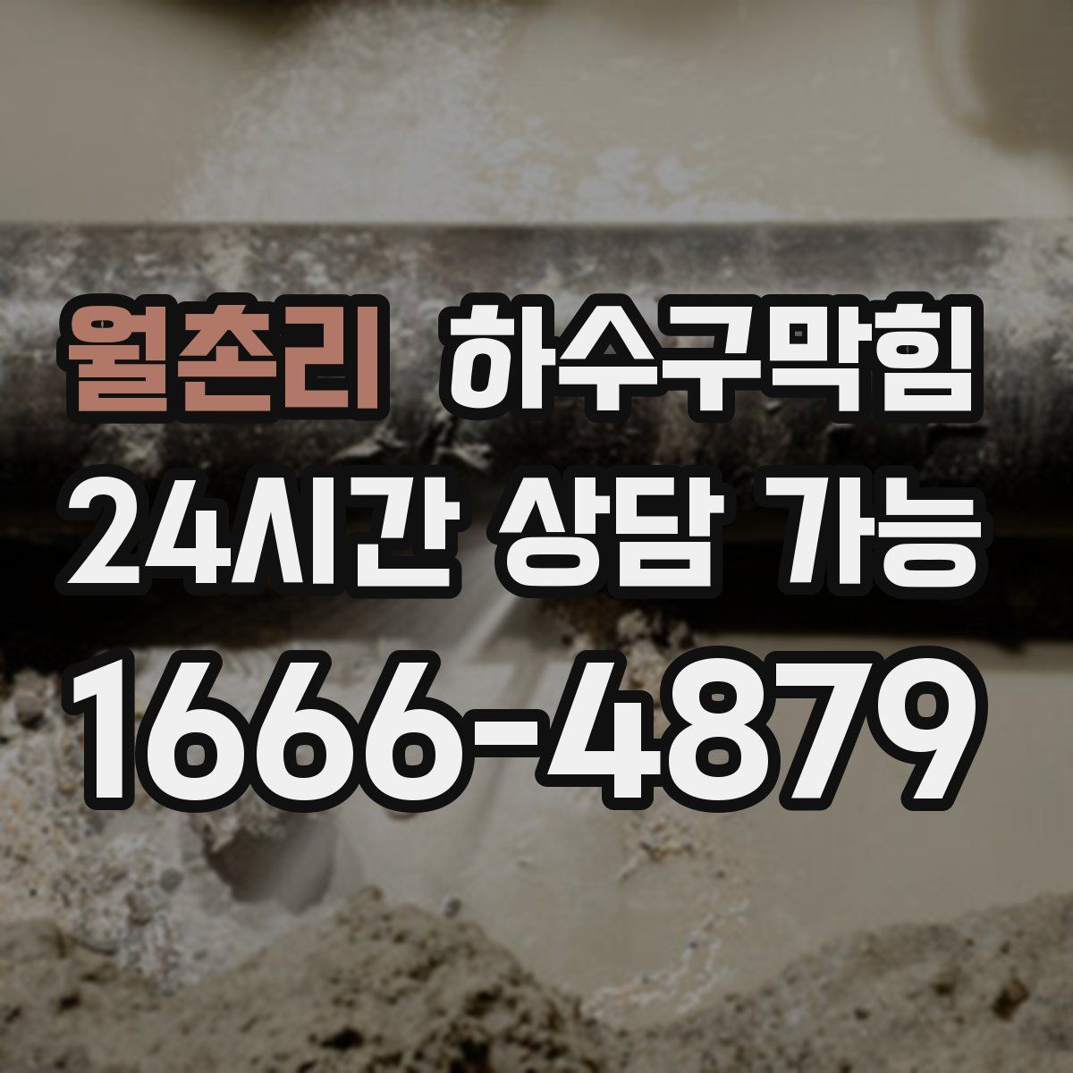 월촌리 하수구막힘