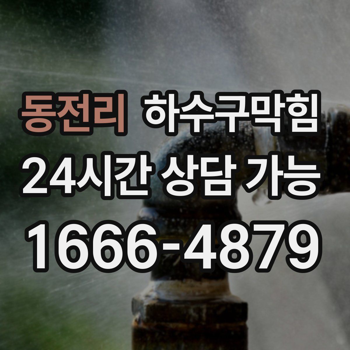 동전리 하수구막힘