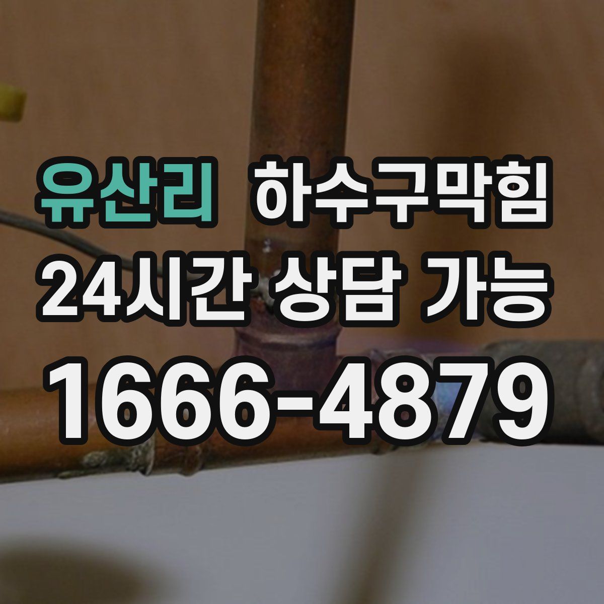 유산리 하수구막힘