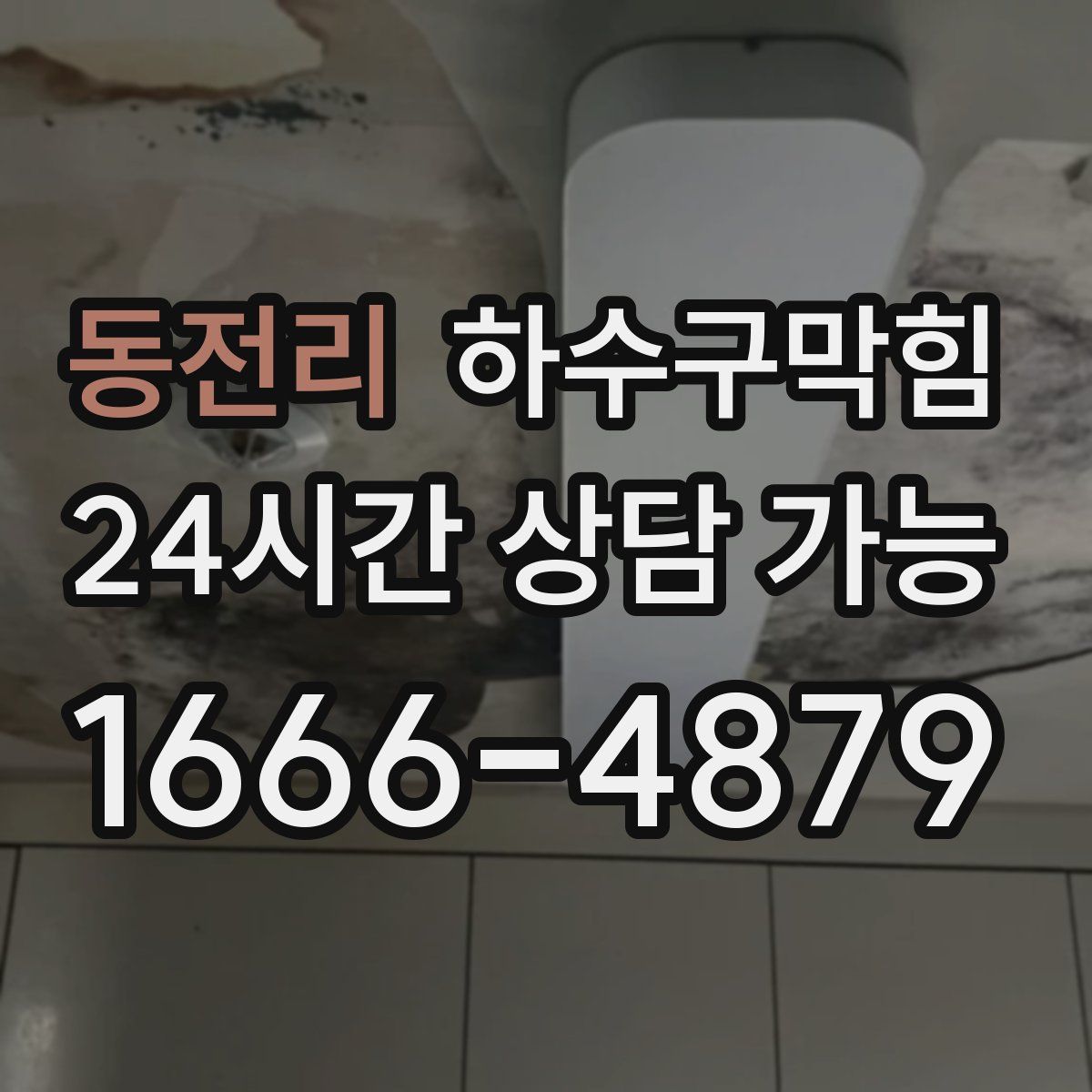 동전리 하수구막힘