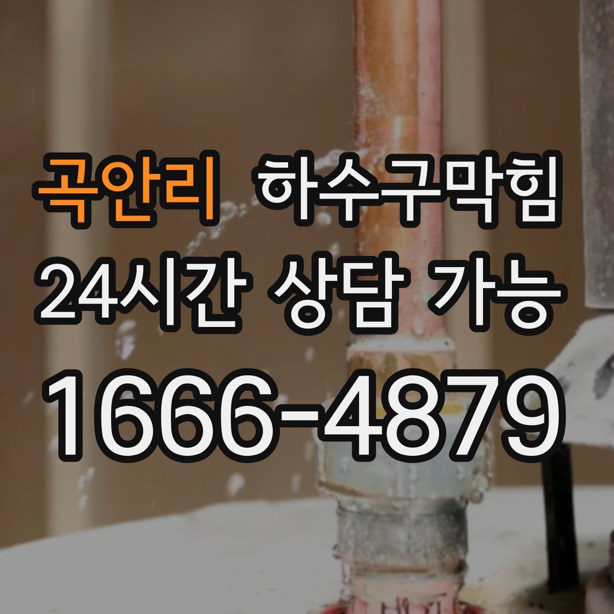 곡안리 하수구막힘