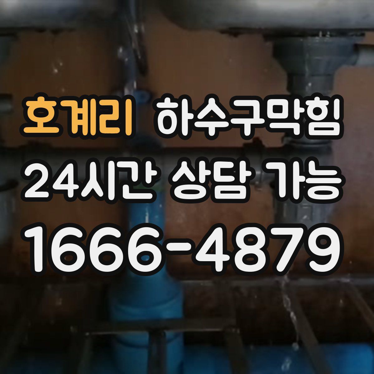 호계리 하수구막힘