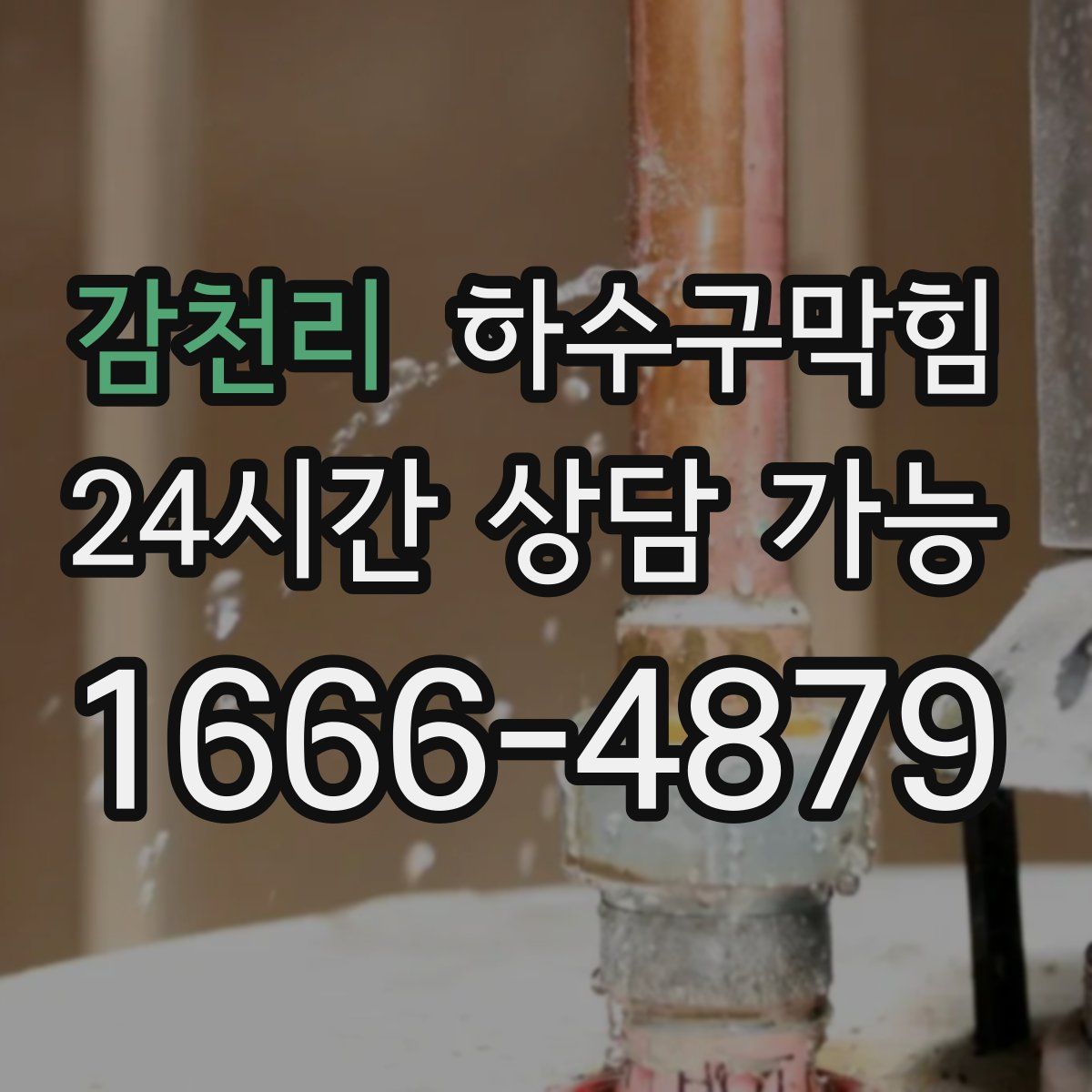 감천리 하수구막힘