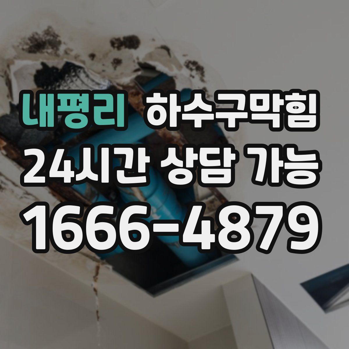 내평리 하수구막힘