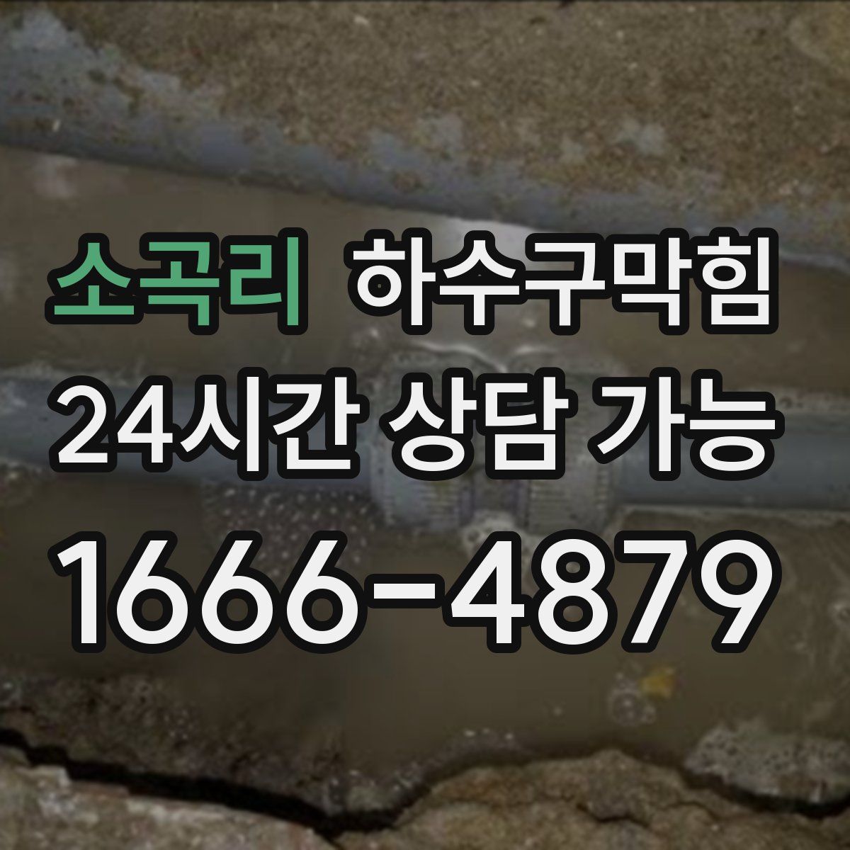 소곡리 하수구막힘