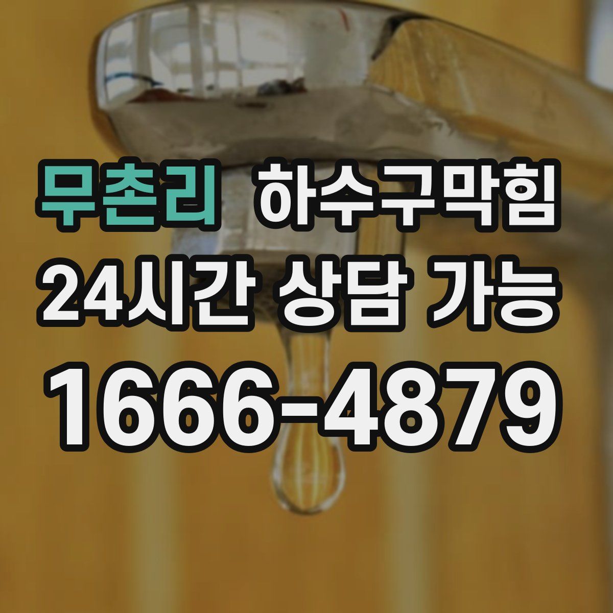 무촌리 하수구막힘