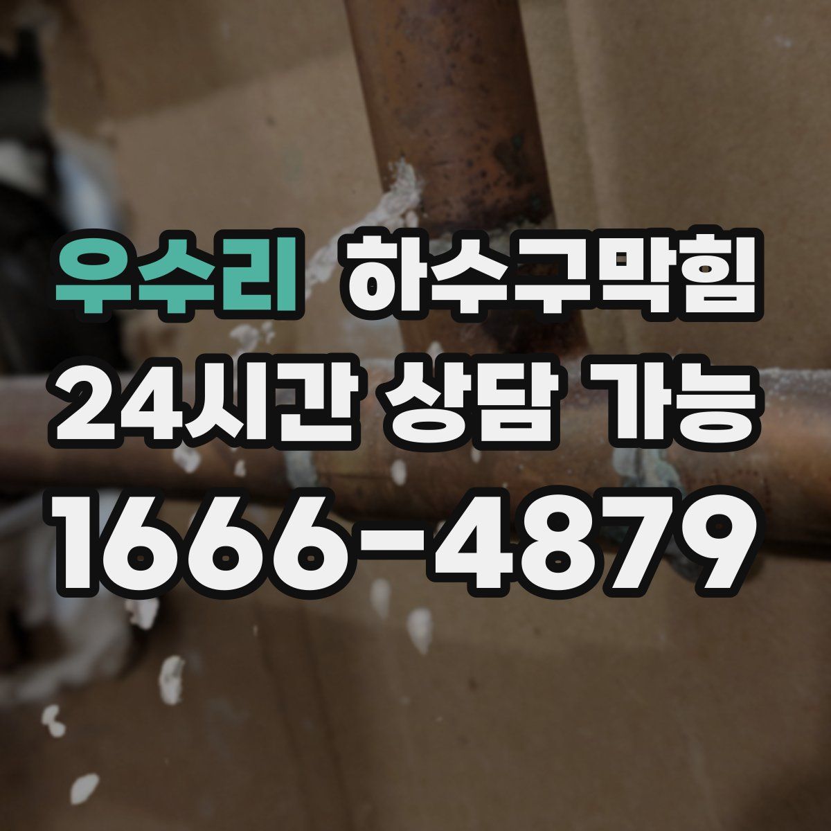 우수리 하수구막힘