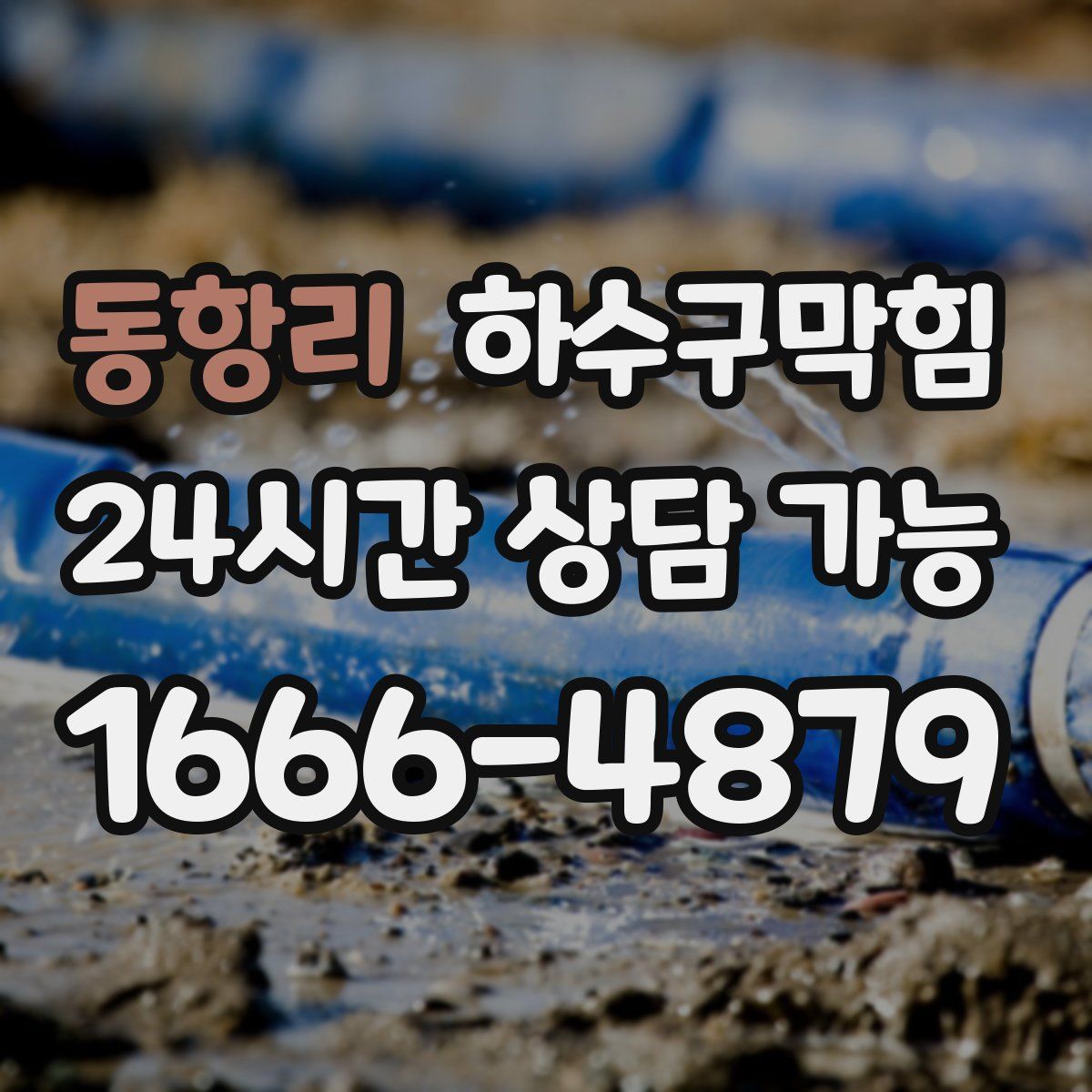 동항리 하수구막힘