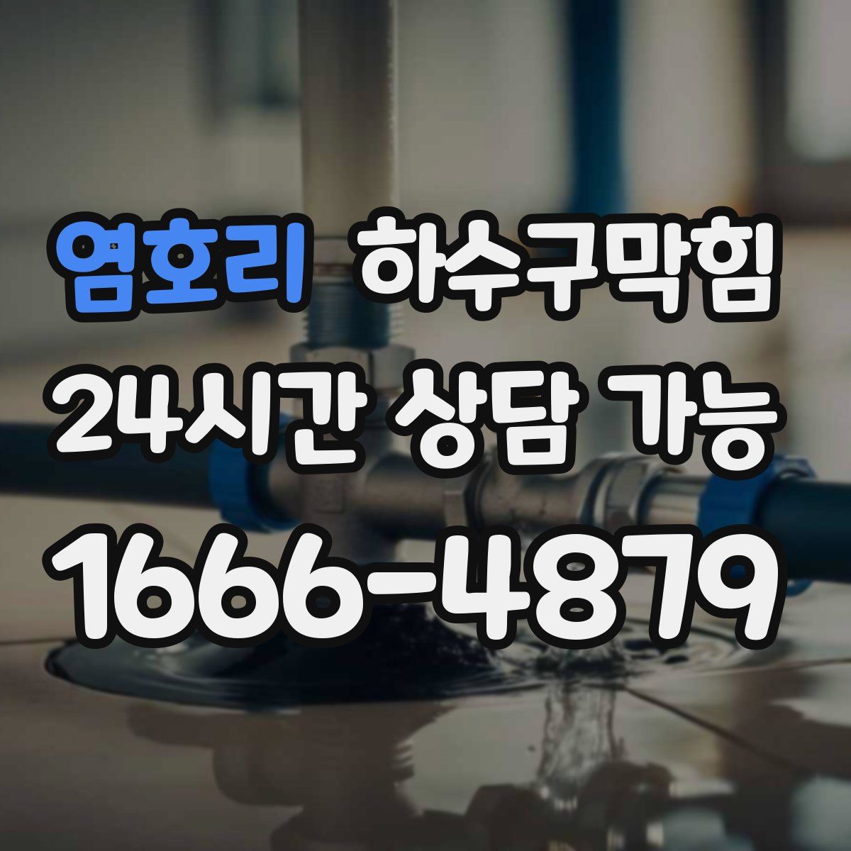 염호리 하수구막힘