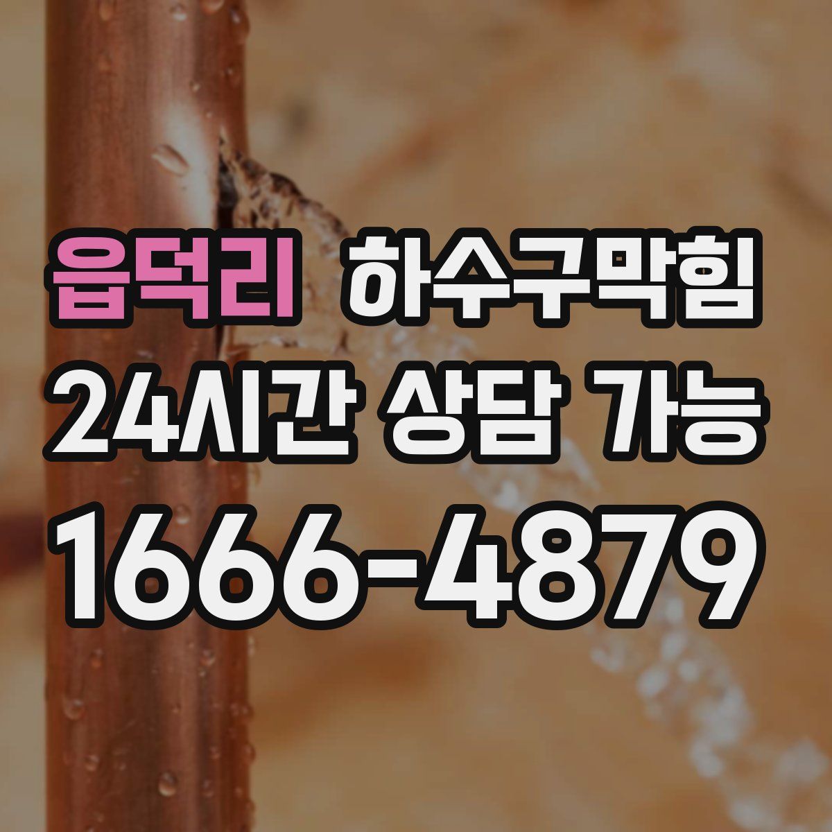 읍덕리 하수구막힘