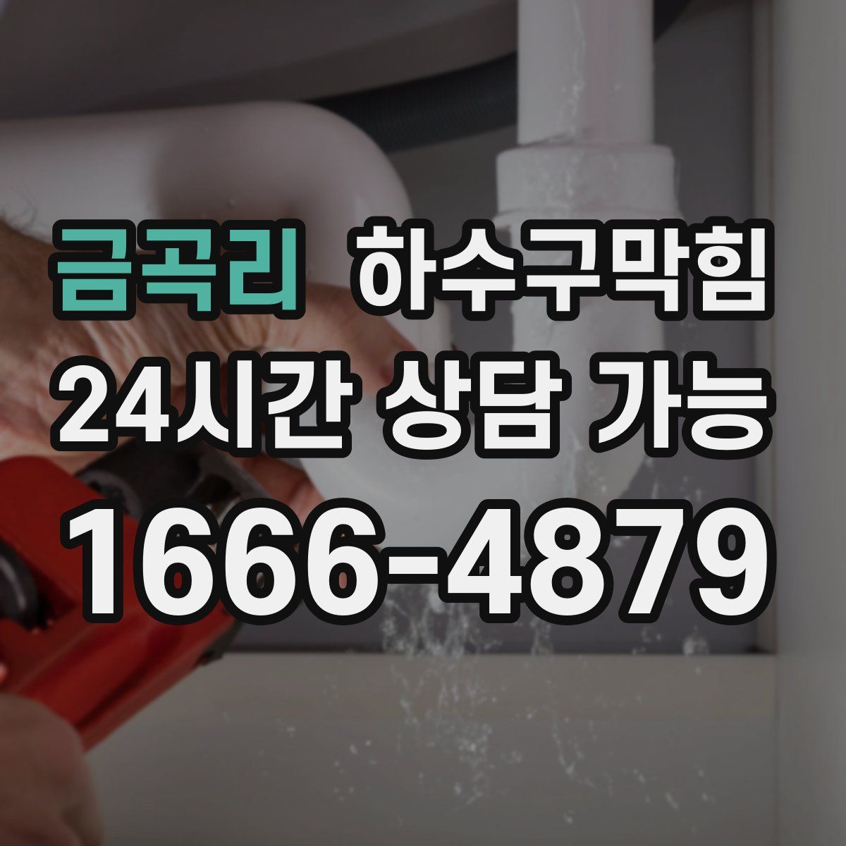 금곡리 하수구막힘