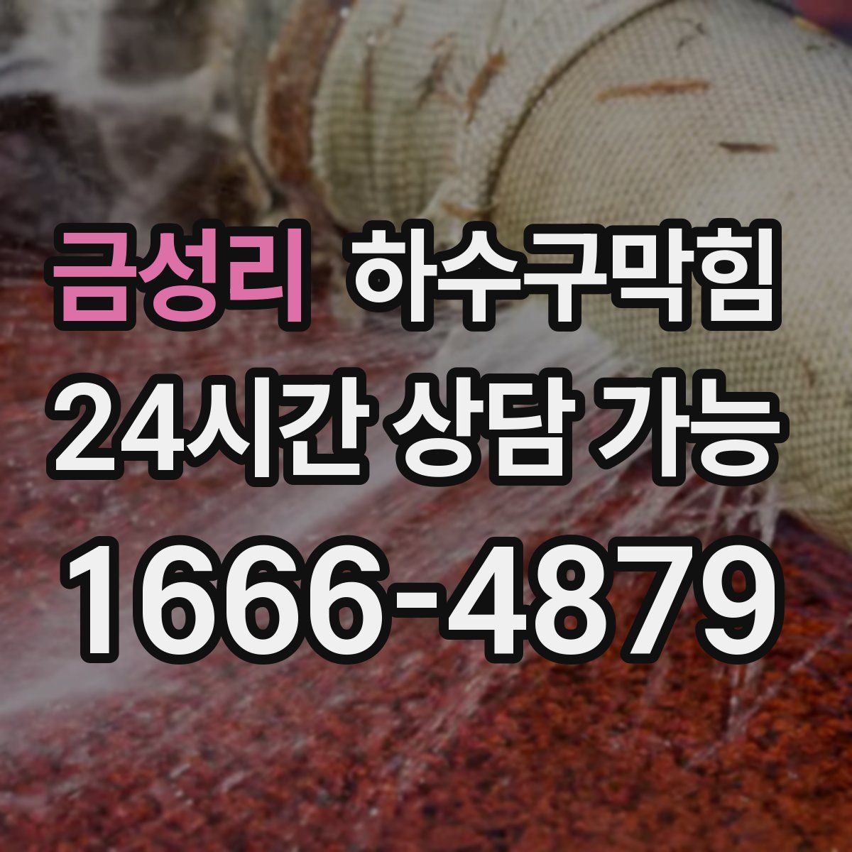 금성리 하수구막힘