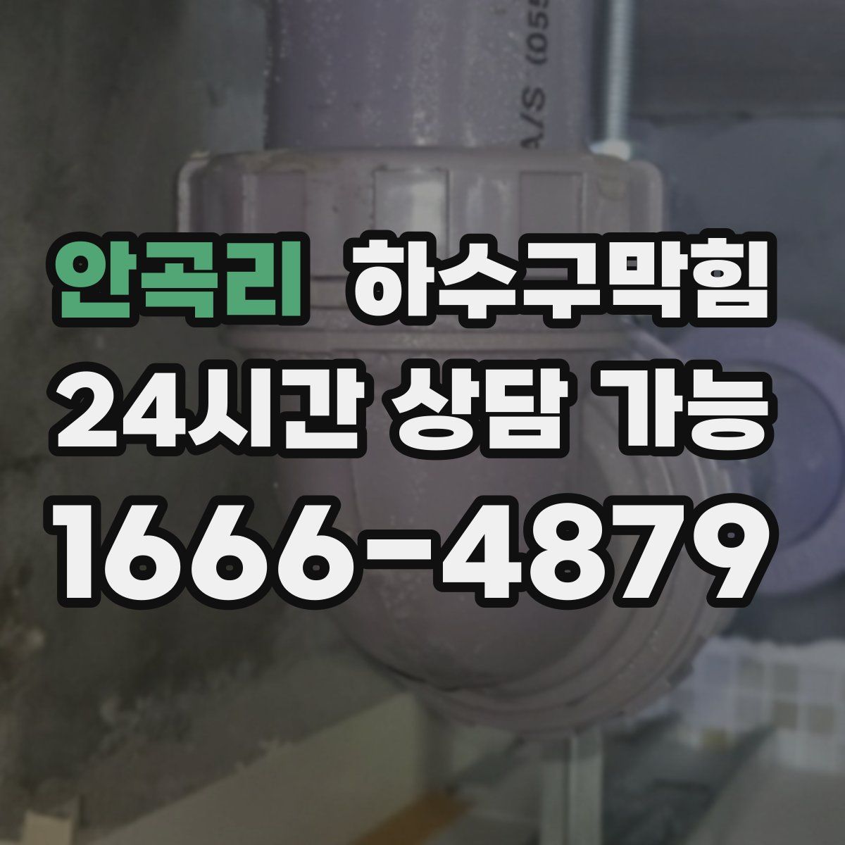 안곡리 하수구막힘