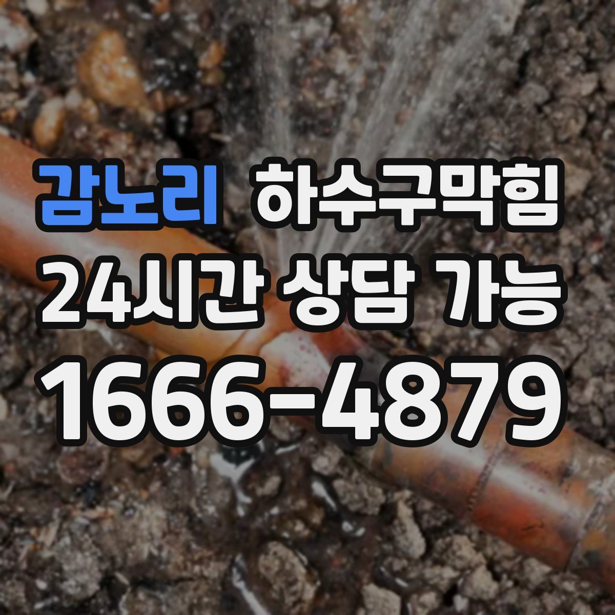 감노리 하수구막힘