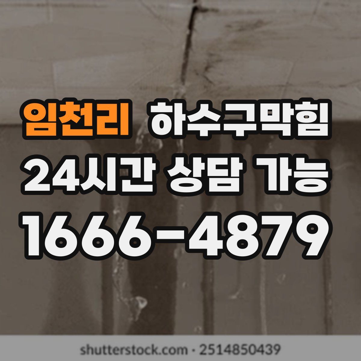 임천리 하수구막힘