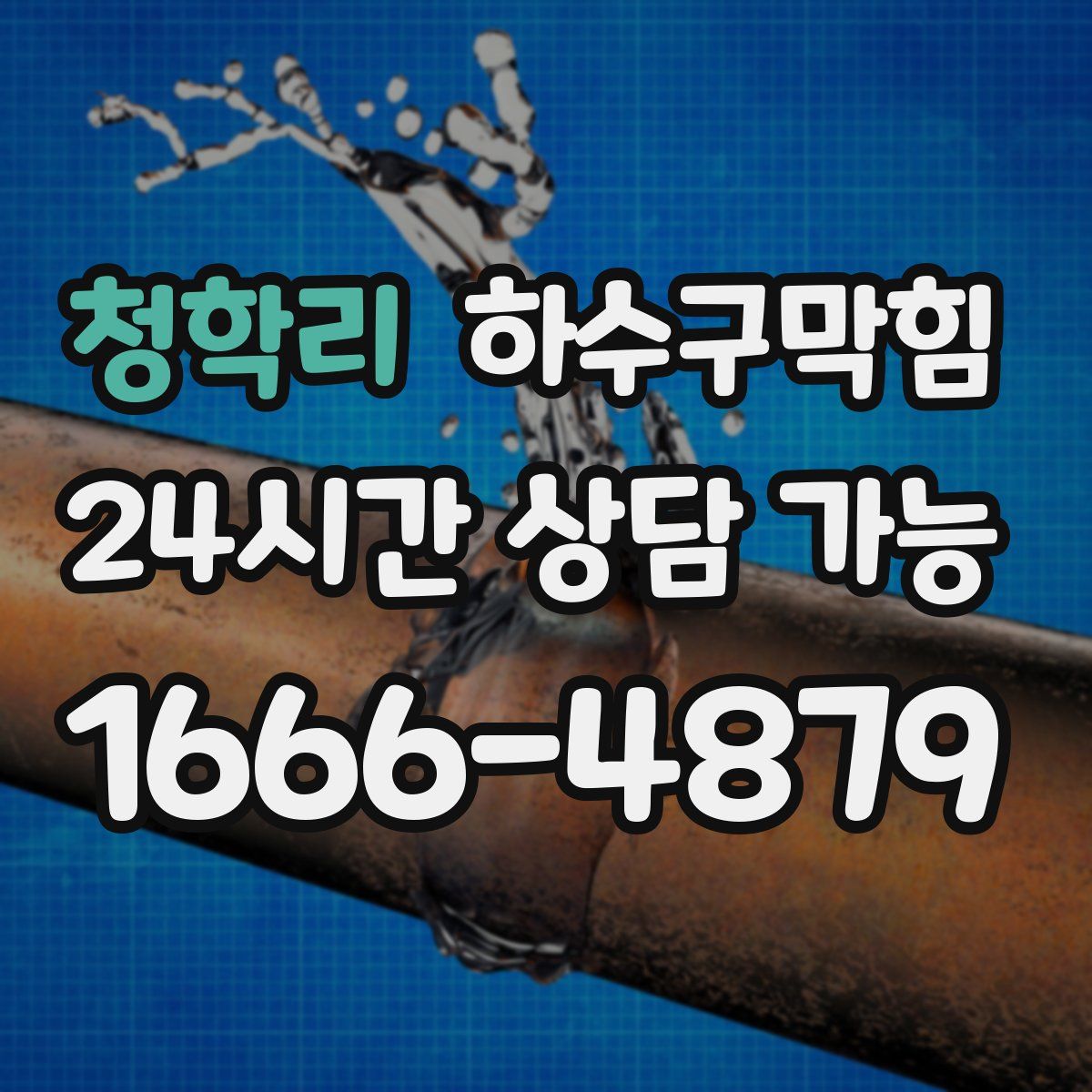 청학리 하수구막힘