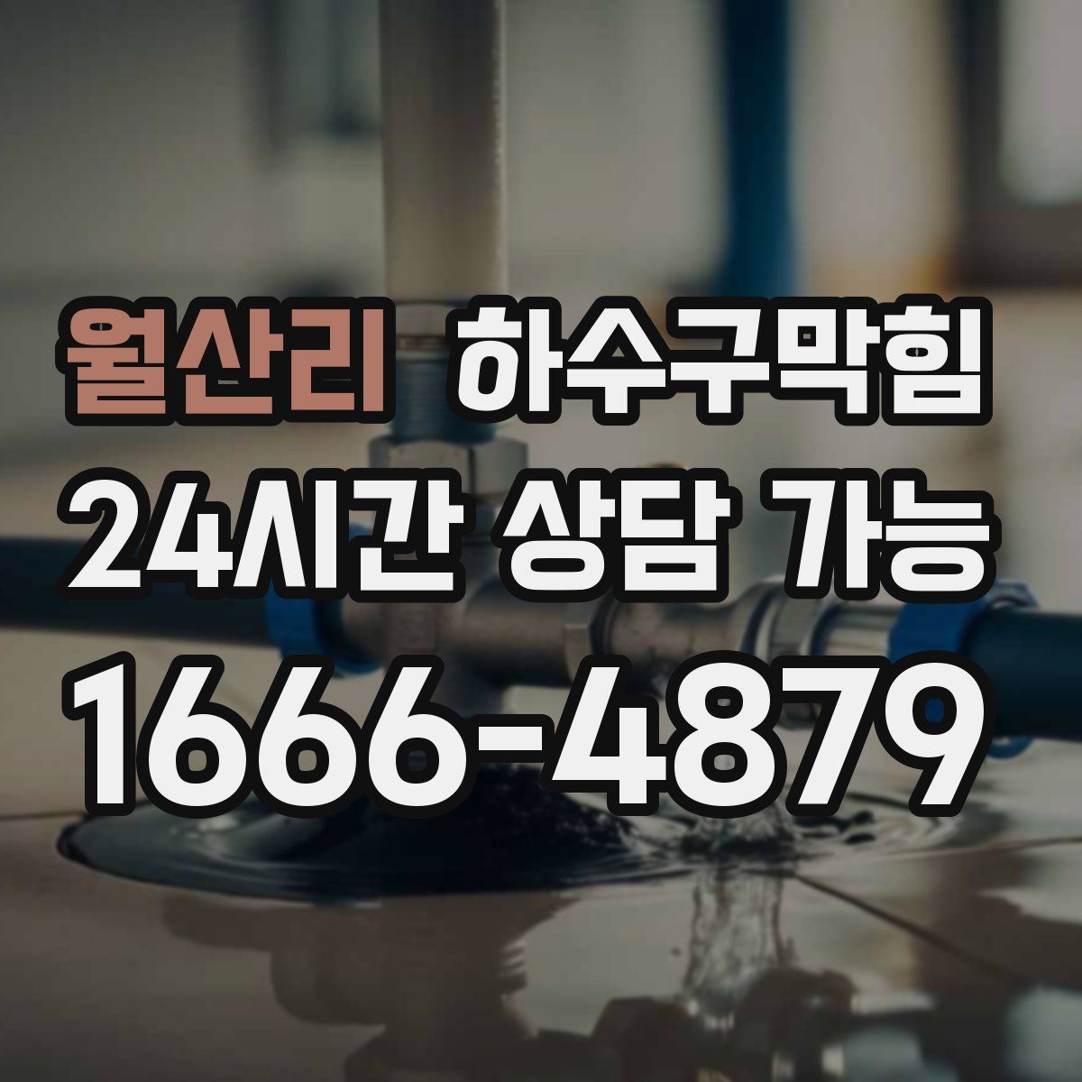 월산리 하수구막힘