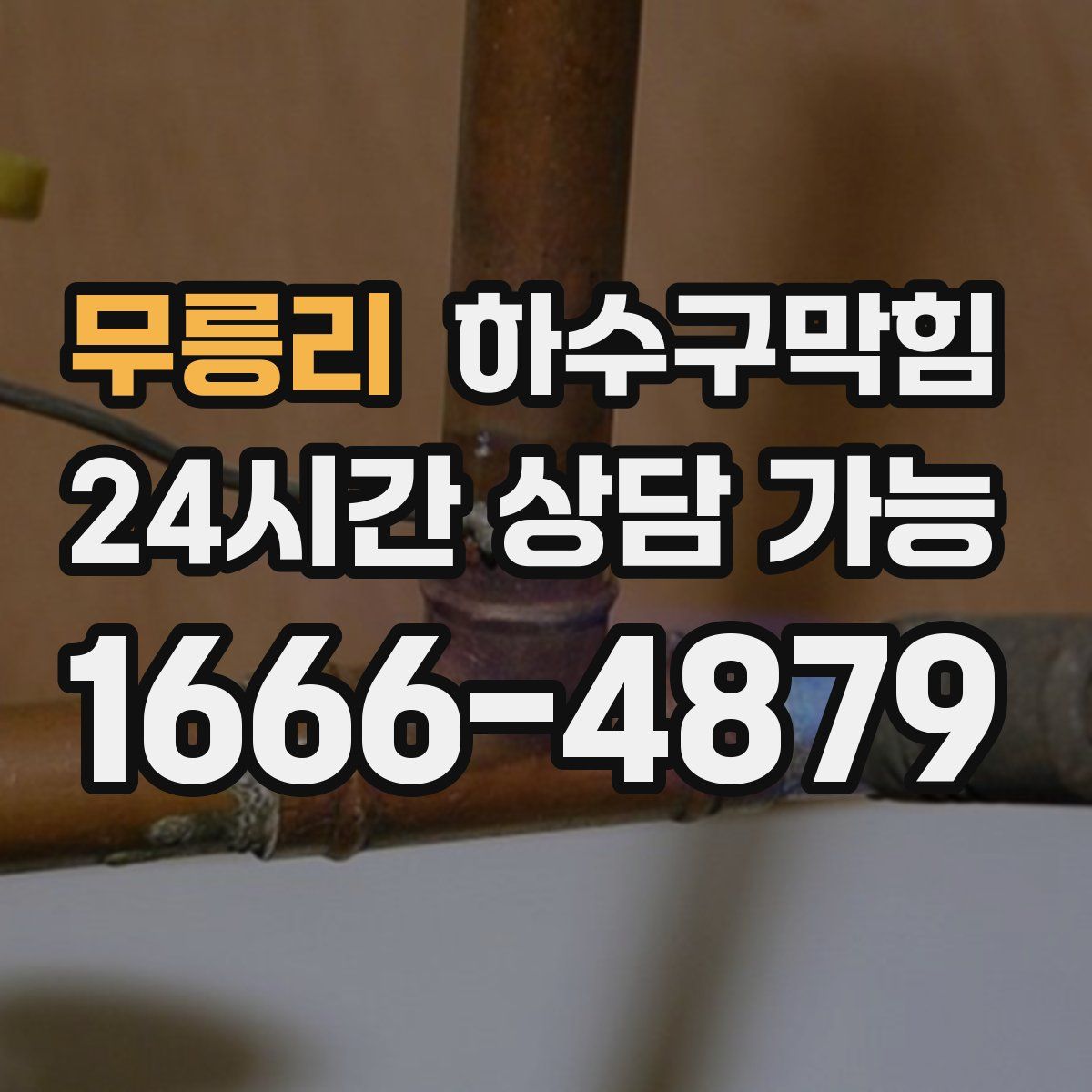 무릉리 하수구막힘