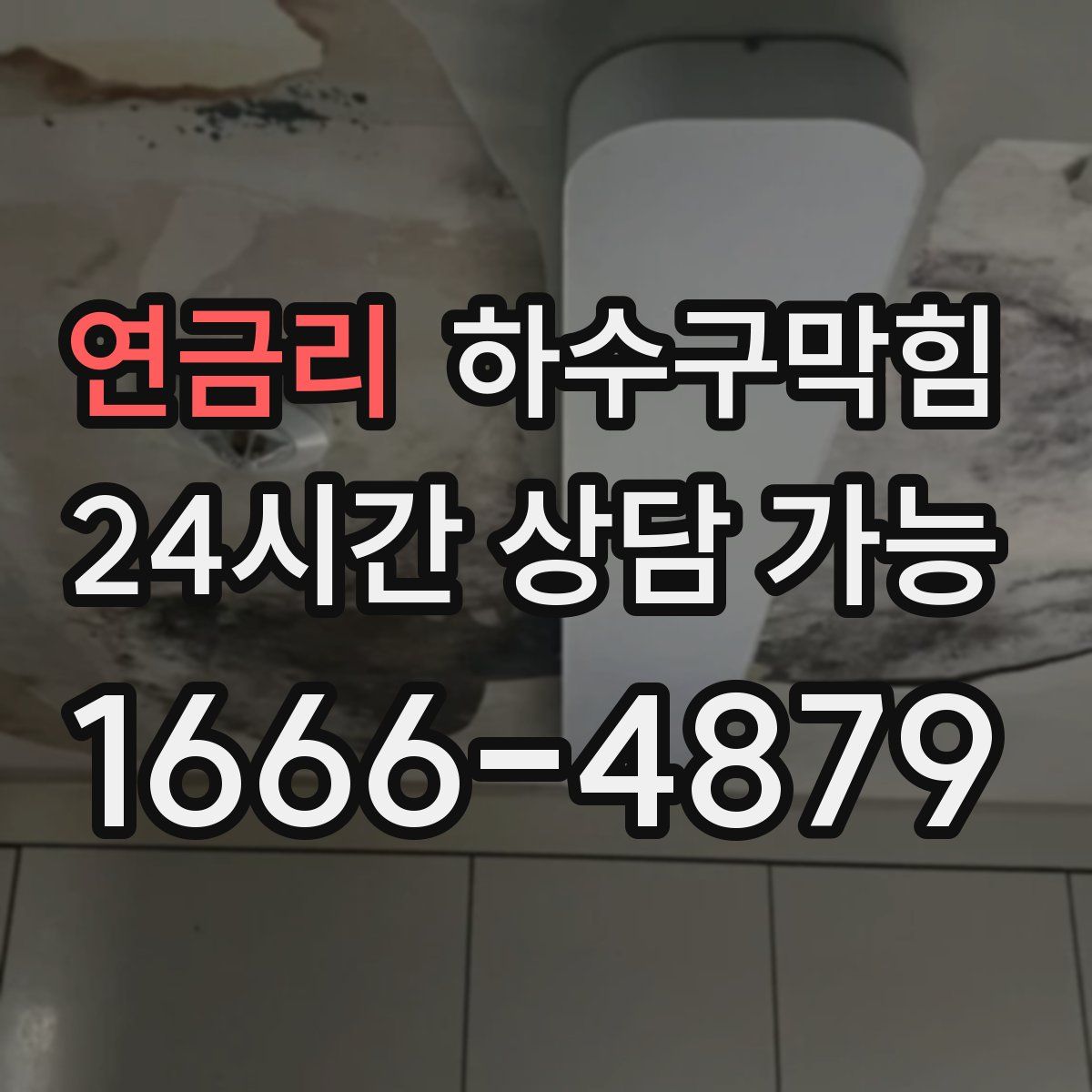 연금리 하수구막힘