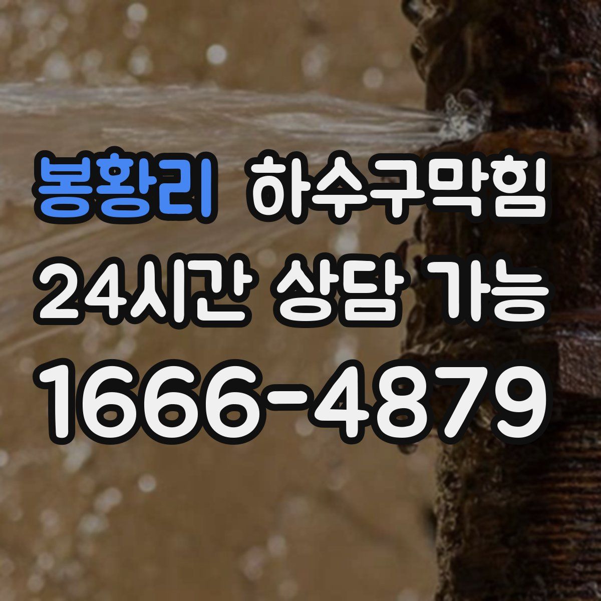 봉황리 하수구막힘