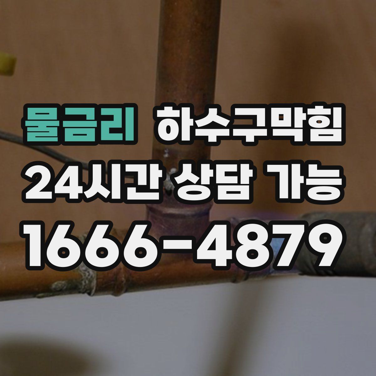 물금리 하수구막힘