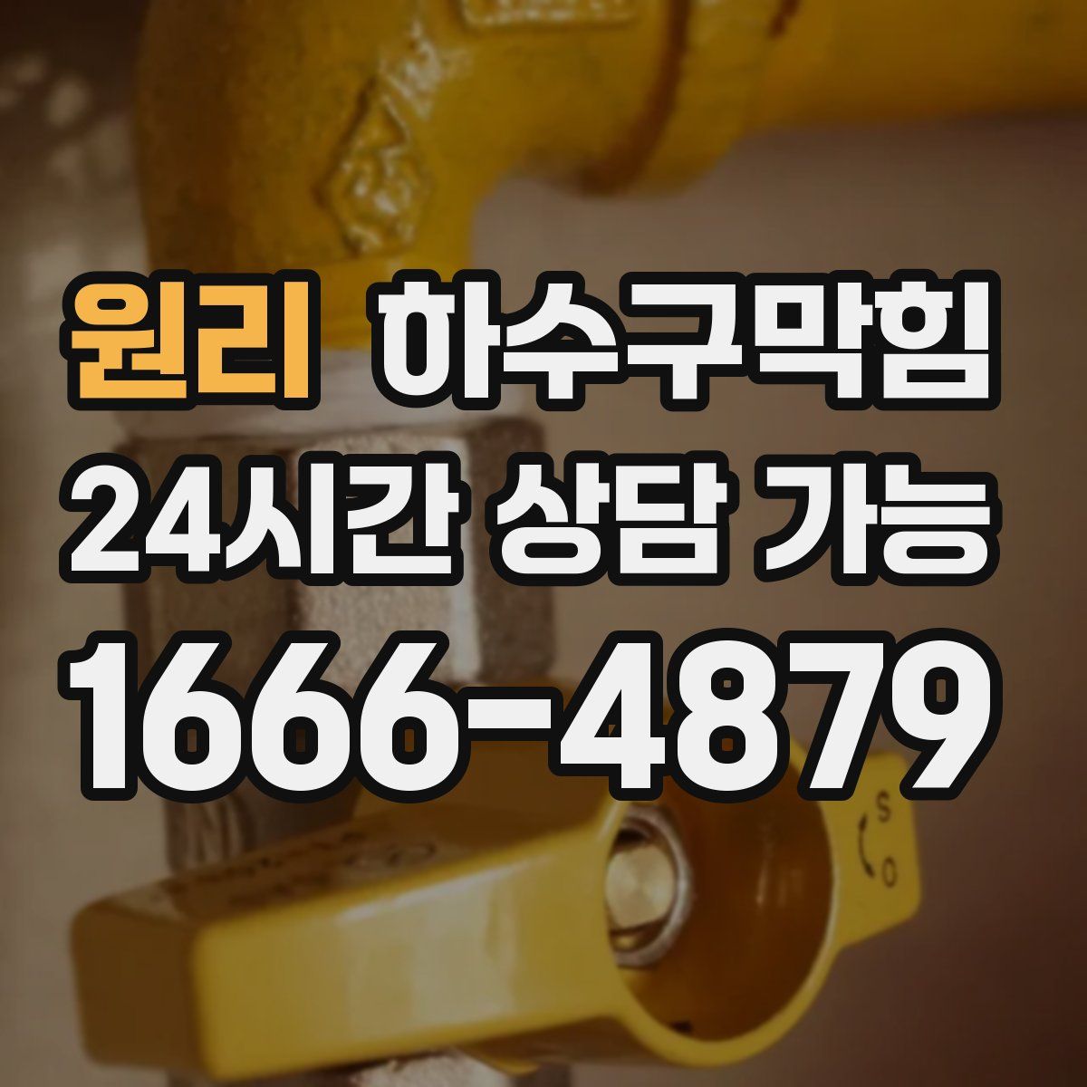 원리 하수구막힘