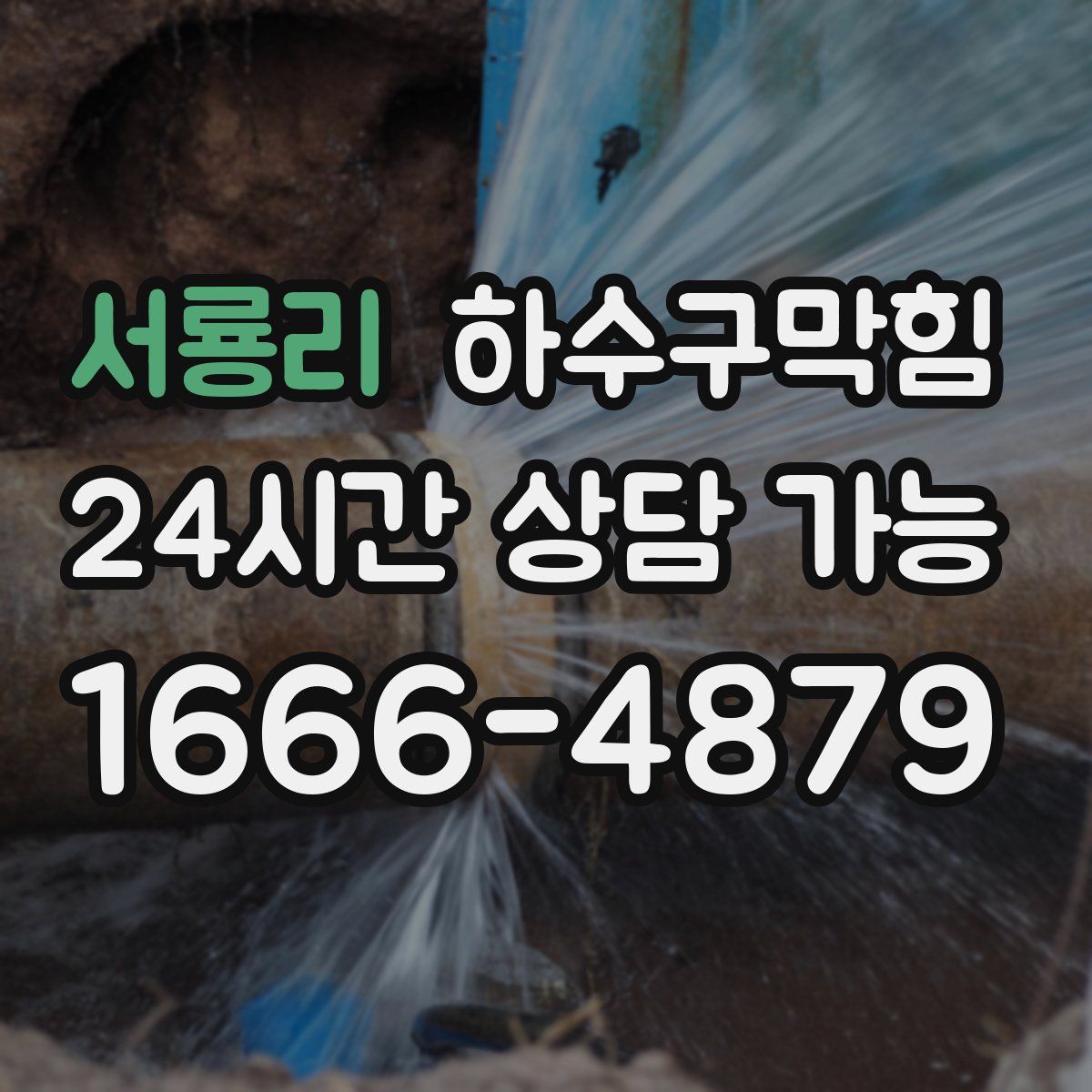 서룡리 하수구막힘