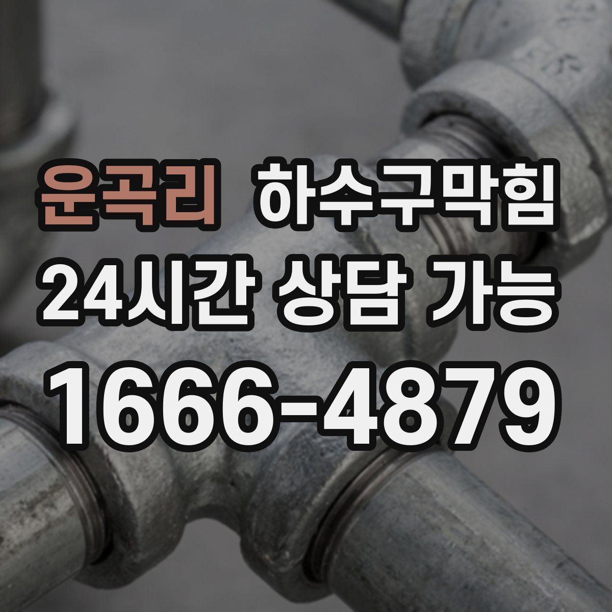 운곡리 하수구막힘