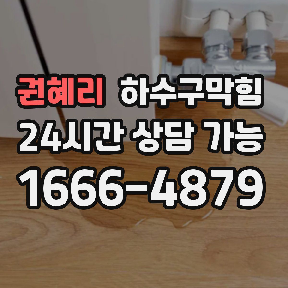 권혜리 하수구막힘