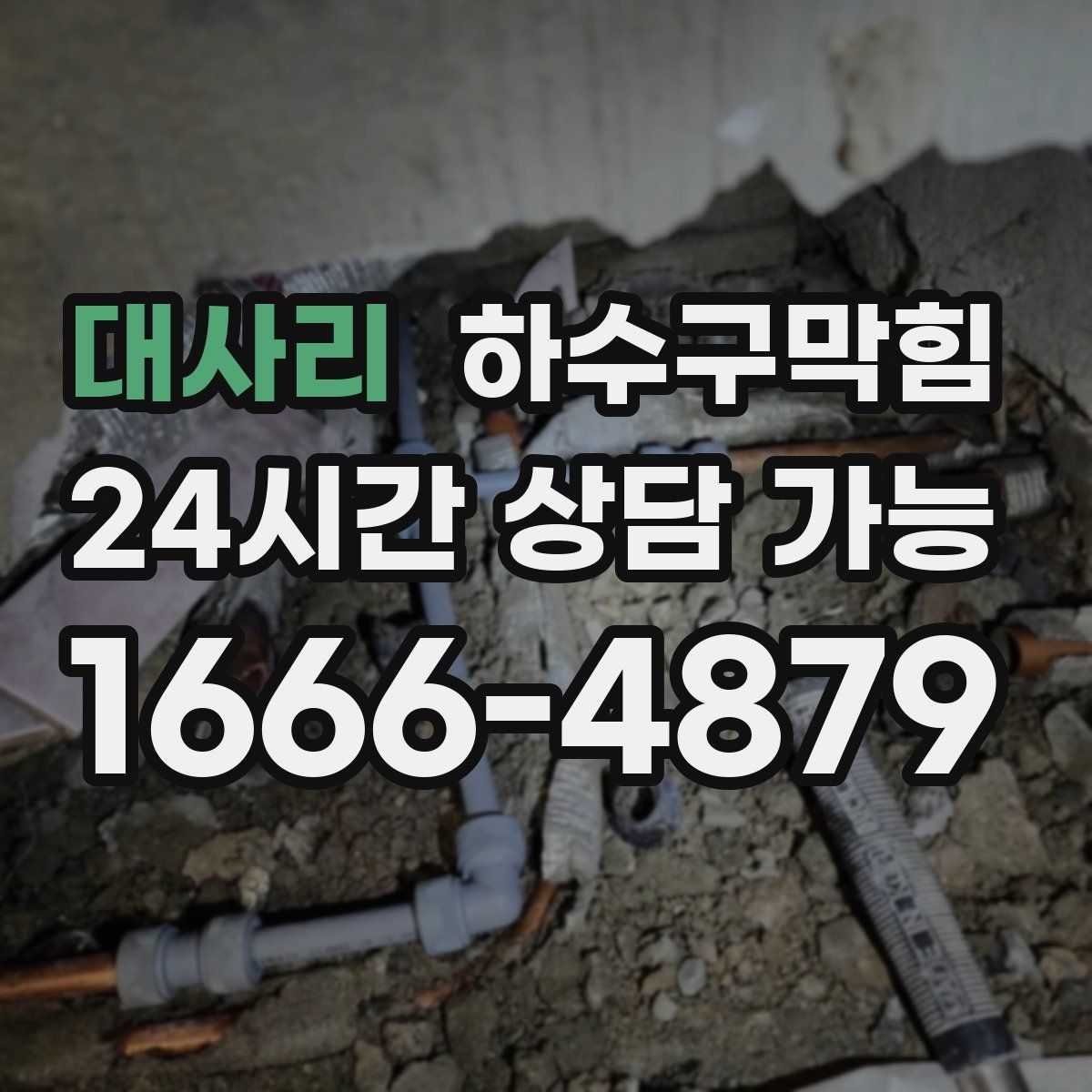 대사리 하수구막힘