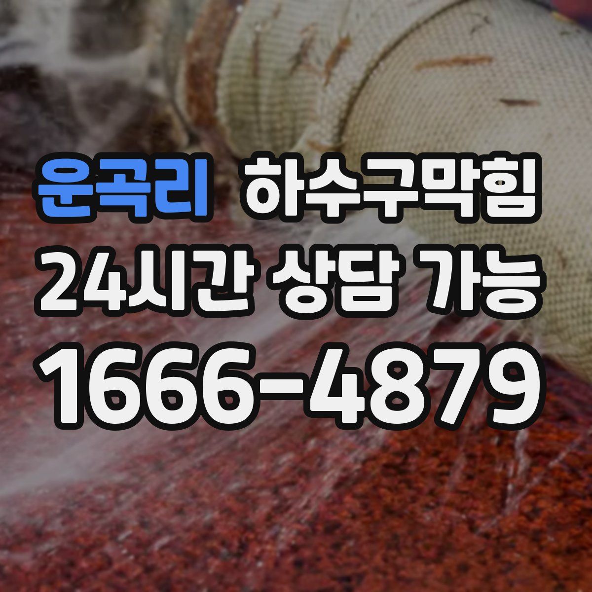 운곡리 하수구막힘