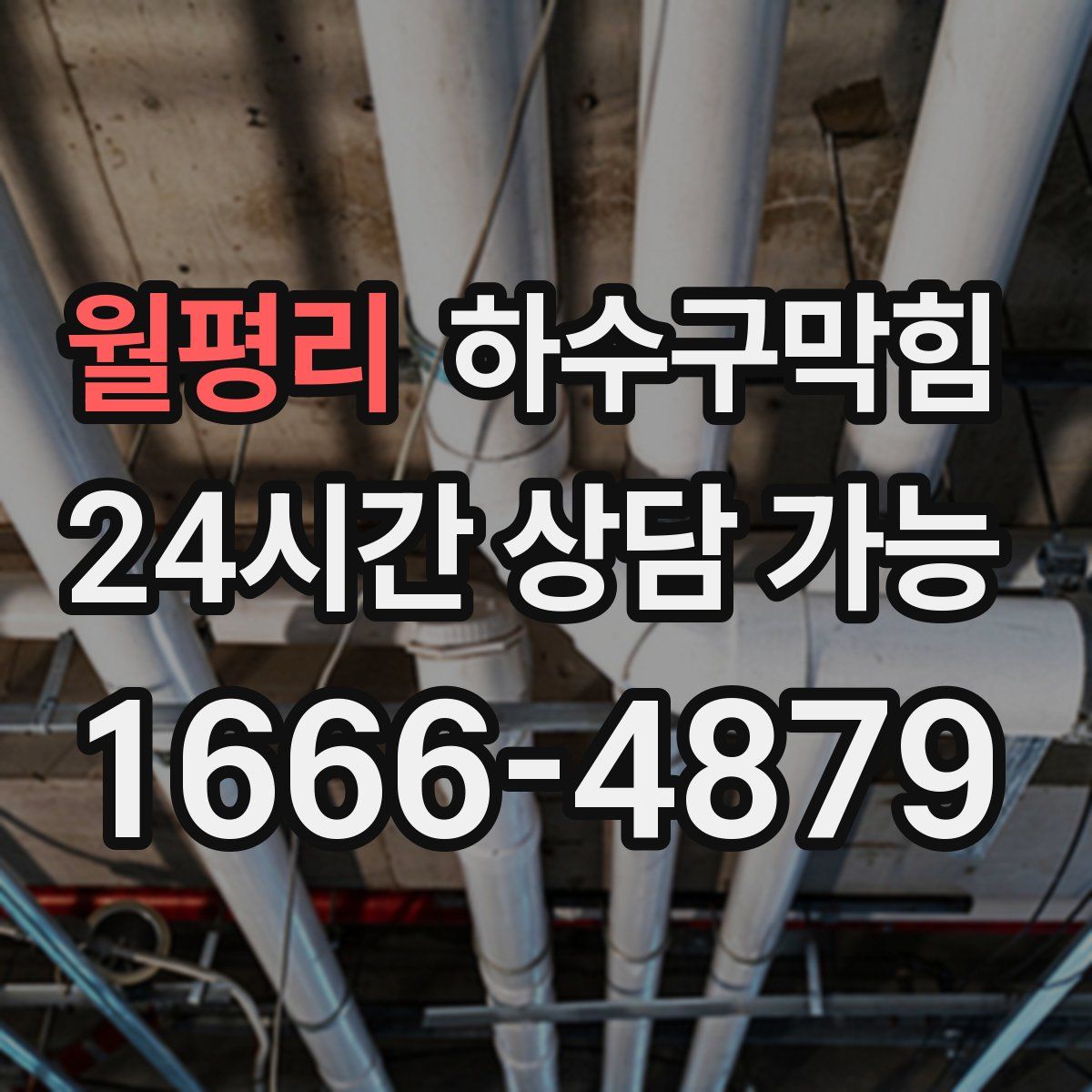 월평리 하수구막힘