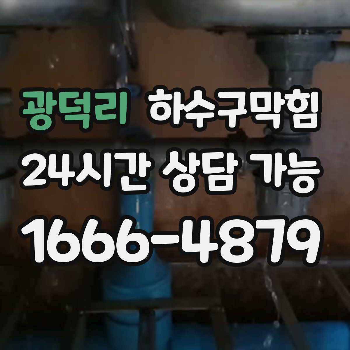 광덕리 하수구막힘