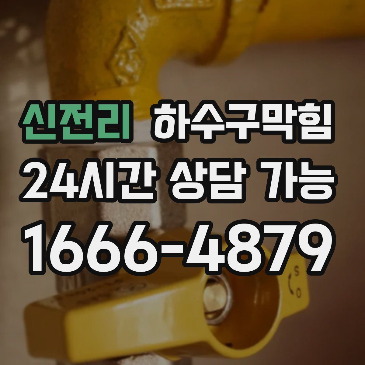 신전리 하수구막힘