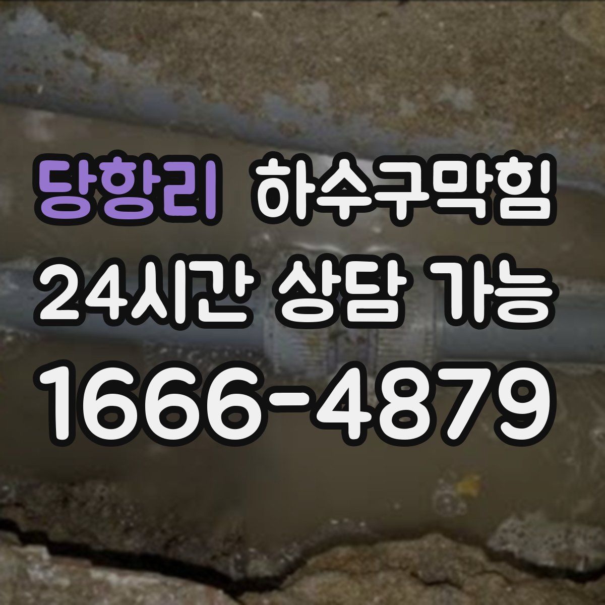 당항리 하수구막힘