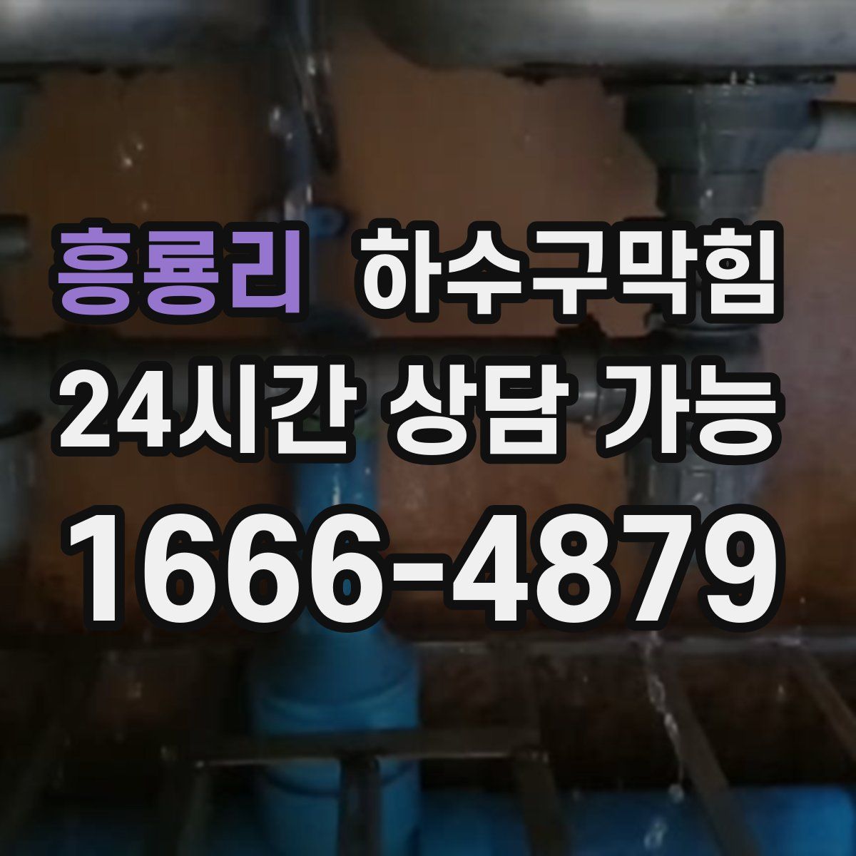 흥룡리 하수구막힘