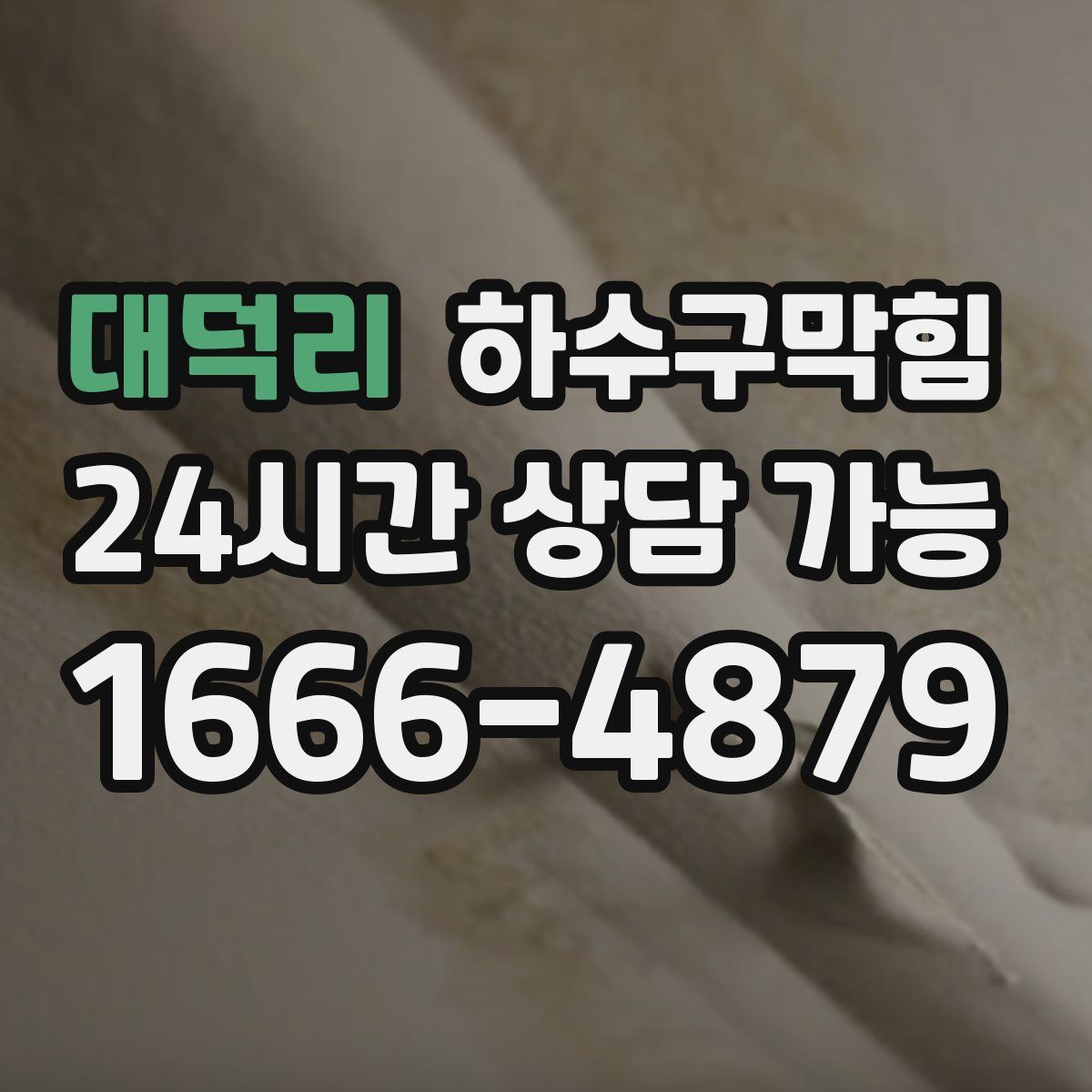 대덕리 하수구막힘