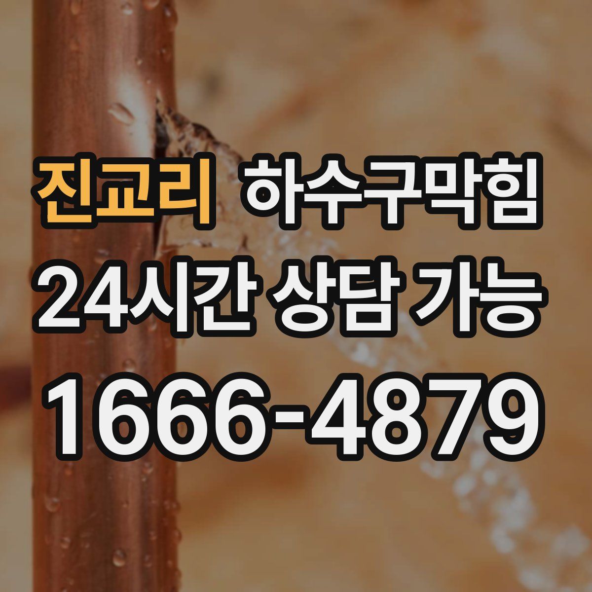 진교리 하수구막힘