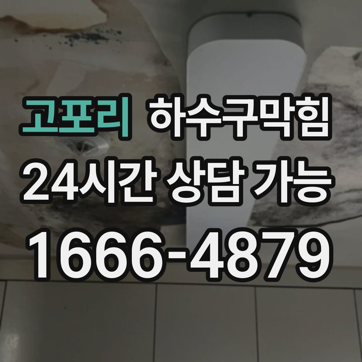 고포리 하수구막힘