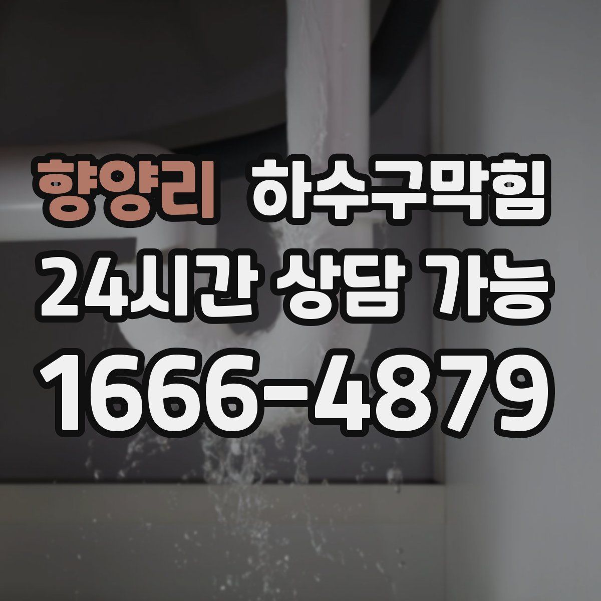 향양리 하수구막힘