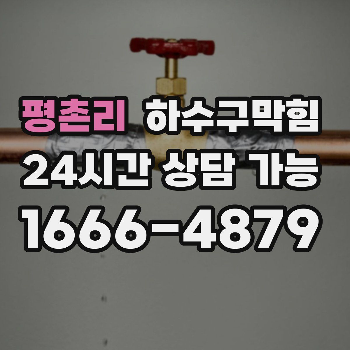 평촌리 하수구막힘