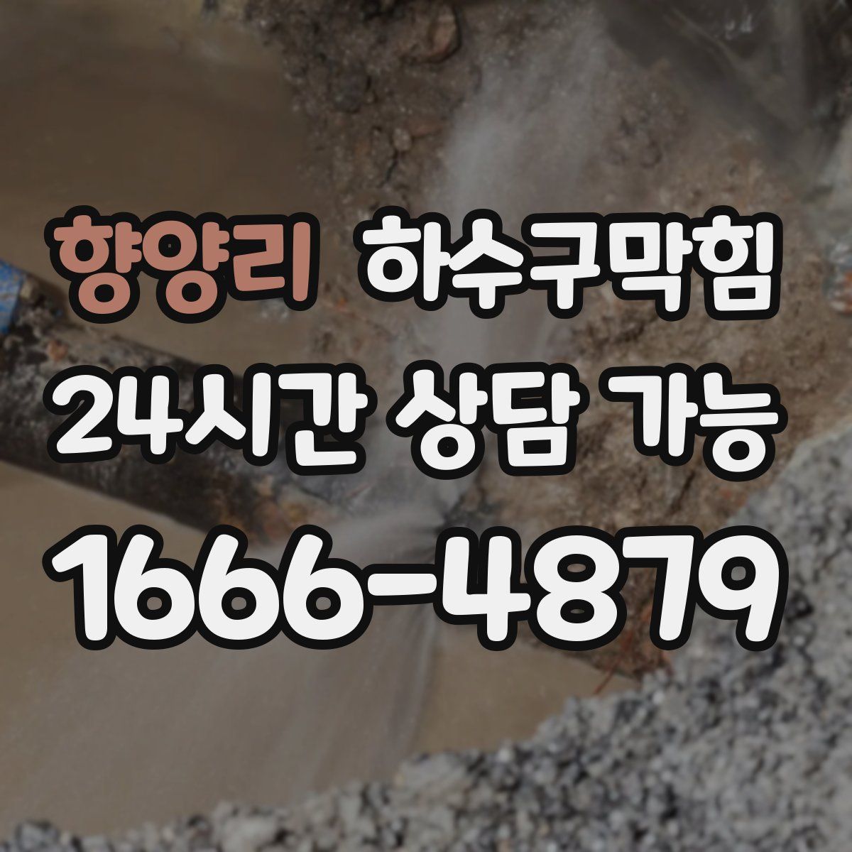 향양리 하수구막힘