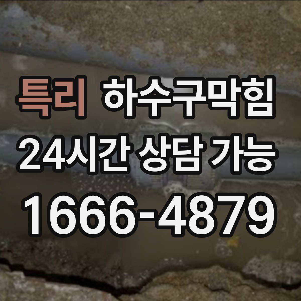 특리 하수구막힘